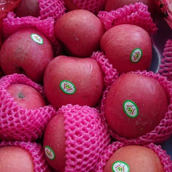 

Lezat- APEL FUJI RENYAH MANIS / PREMIUM / FRESH & SEGAR ( 1 kg )