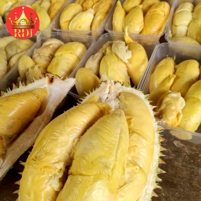 

Lezat- durian kupas medan KING FRESH DURIAN KUPAS PREMIUM No.1 RDI