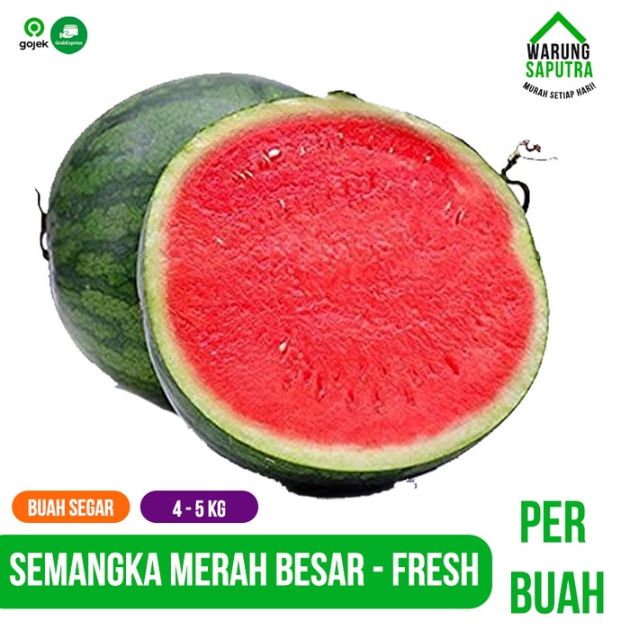 

Lezat- Buah Semangka Merah Manis Besar Seedless per Buah