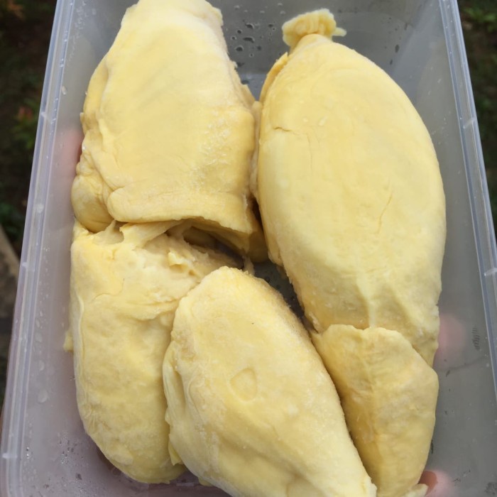 

Lezat- Durian Monthong Palu Premium