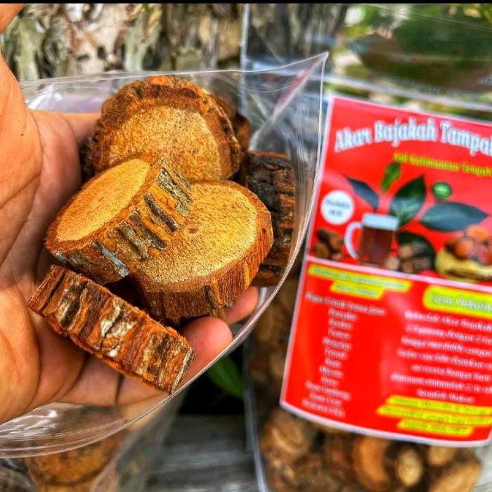 

Teh Herbal Akar Bajakah Tampala 500 gram untuk Kesehatan Jantung dan Kolesterol - Air, Tea