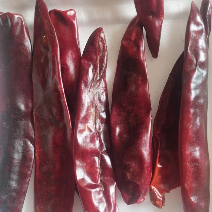 

Lezat- CABE BESAR(PREMIUM) TIDAK PEDAS 1KG Bumbu Rempah Masakan Cabai