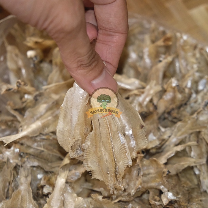 

Teri Pakang - Sayursegar