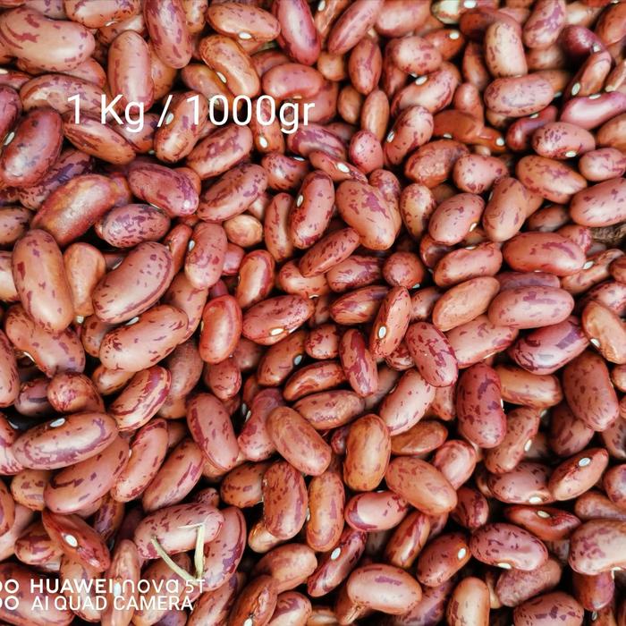 

Kacang Jogo / Kacang Es / Kacang Merah 1Kg / 1000Gr