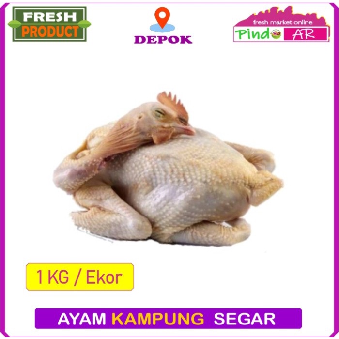 

Lezat- AYAM KAMPUNG UTUH SEGAR 1 EKOR