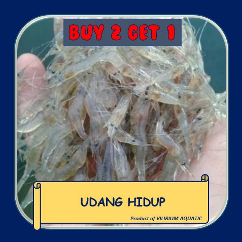 PAKAN IKAN HIAS - UDANG HIDUP