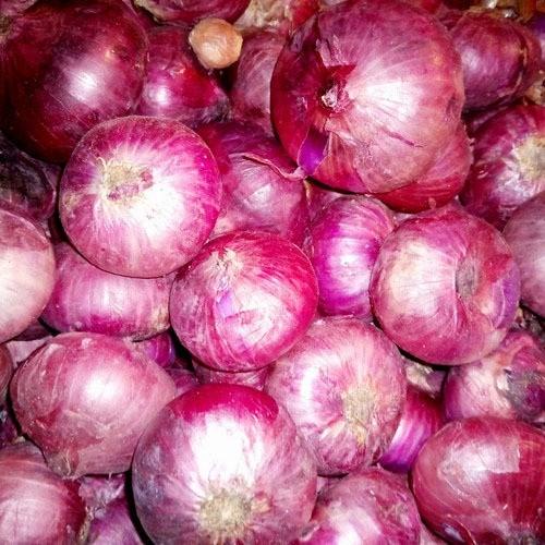 

Bawang Merah India / Bawang Peking Kemasan 1 Kg