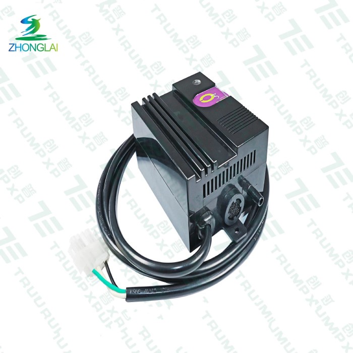 SPA Ozone Generator Car Ozone Machine Water Treatment Ozone Reactor