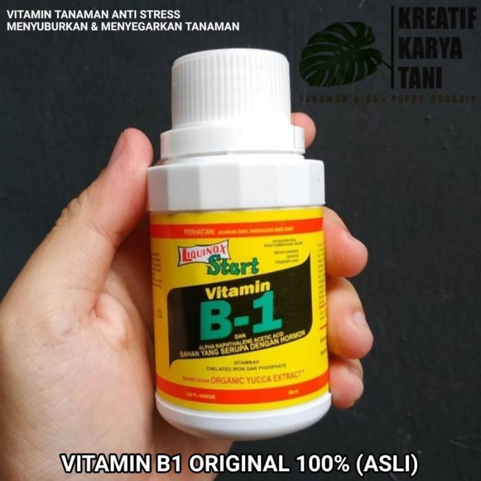 siapkirim- Vitamin B1 untuk tanaman anti stres - Vitamin B1 LIQUINOX ASLI