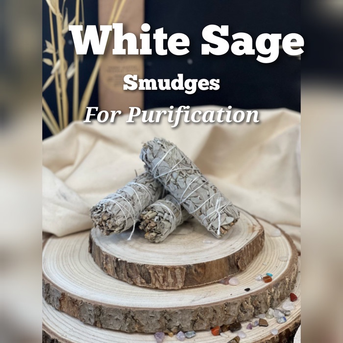 

WHITE SAGE CALIFORNIA ORGANIC 9CM
