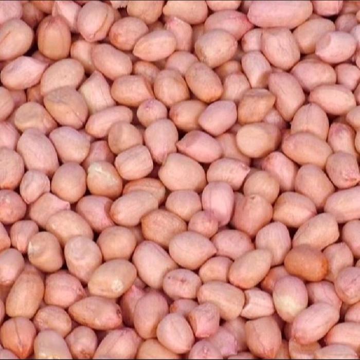 

kacang tanah mentah kemasan 1kg