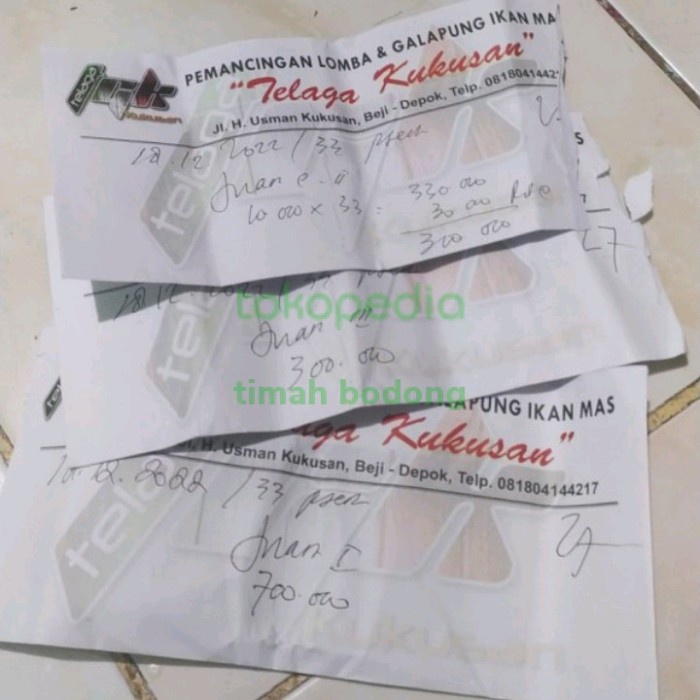 Ready Esen ikan mas KAWENI STROWBERI OPLOSAN Galatama Galapung