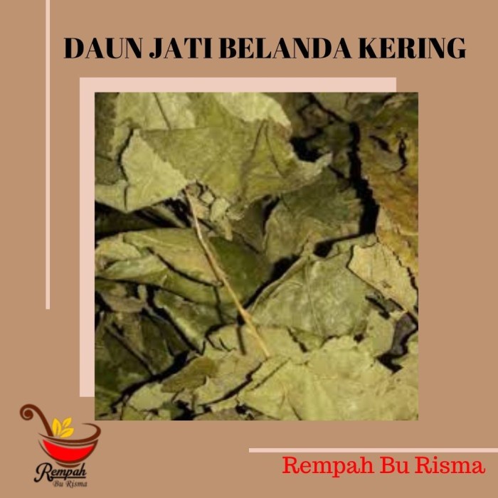 

TERMURAH!! Daun Jati Belanda kering obat pelangsing herbal