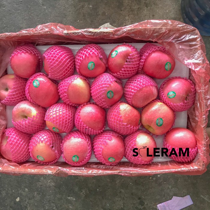 

Buah Apel Fuji Merah 17kg Grosir Satu Kardus Untuk Jus juice minuman