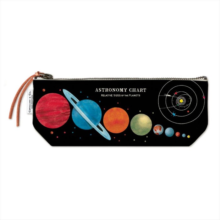 

Ready Cavallini Astronomy Mini Pouch
