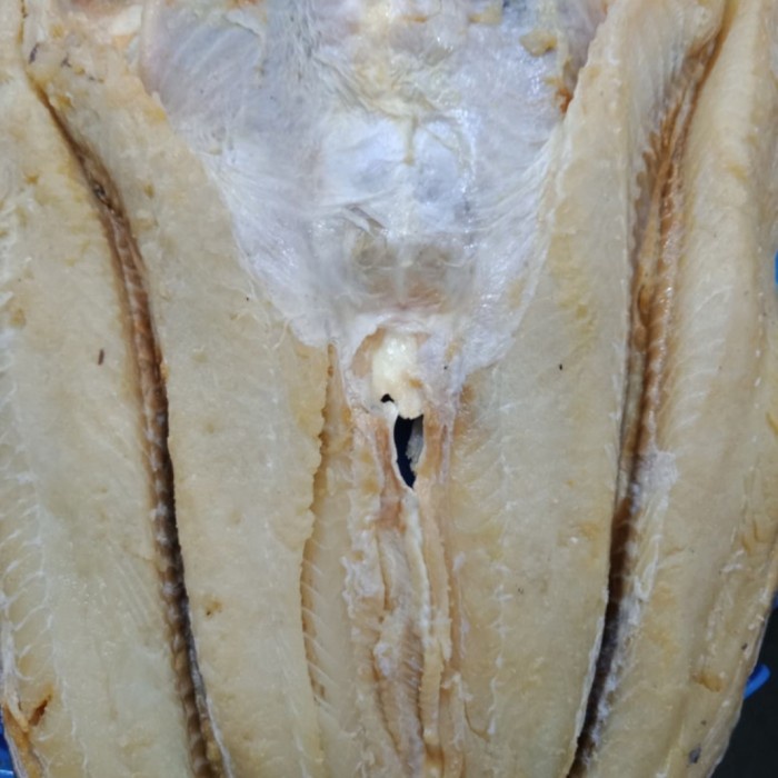 

Kuliner.Kita Ikan Asin Jambal 250Gr