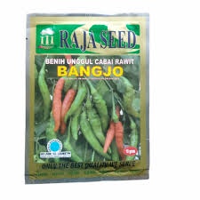 

Benih Cabe Rawit Bangjo 10gr – Pedas Unggul, Tahan Hama, Cocok Perkebunan & Pot