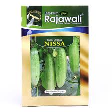 Benih Timun “Nissa Rajawali” – Kemasan 20 gr