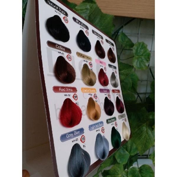 Sale Terbatas Katalog Pewarna Rambut Diosys Beauty Cat Rambut Display Dye Aman