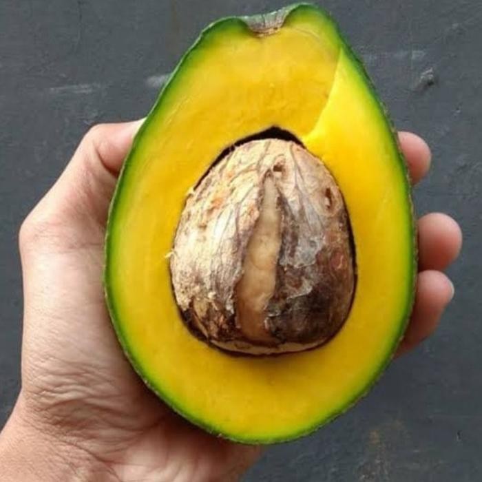 

BisaInstan- Alpukat Segar Berkualitas 1Kg