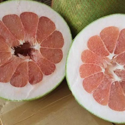 

BisaInstan- Pomelo pomelo maluku pomelo madu