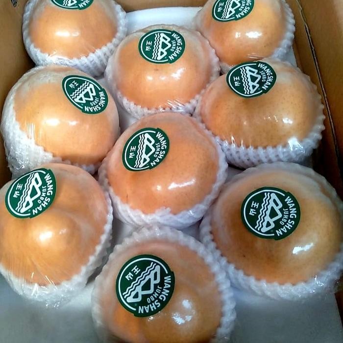 

BisaInstan- BUAH PEAR PIR KOREA SINGO IMPORT PER DUS