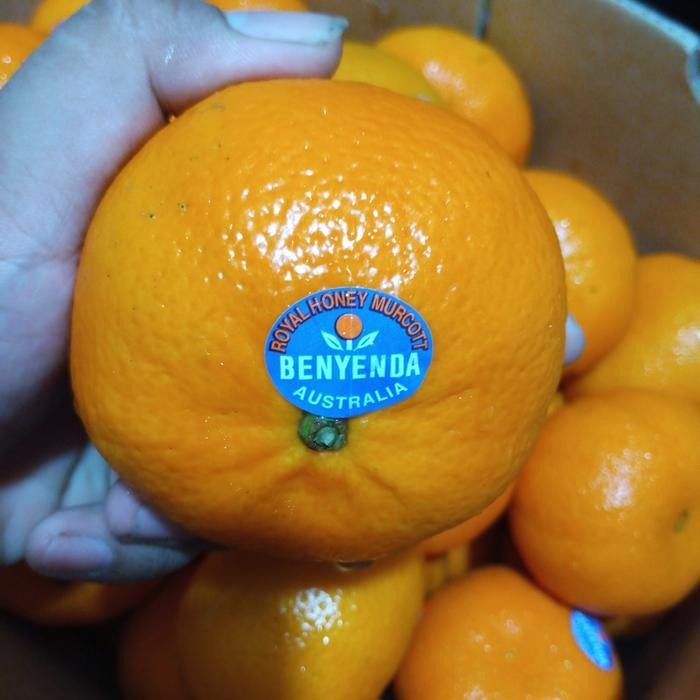 

BisaInstan- JERUK ROYAL HONEY MURCCOT AUSTRALIA PER 1 KG