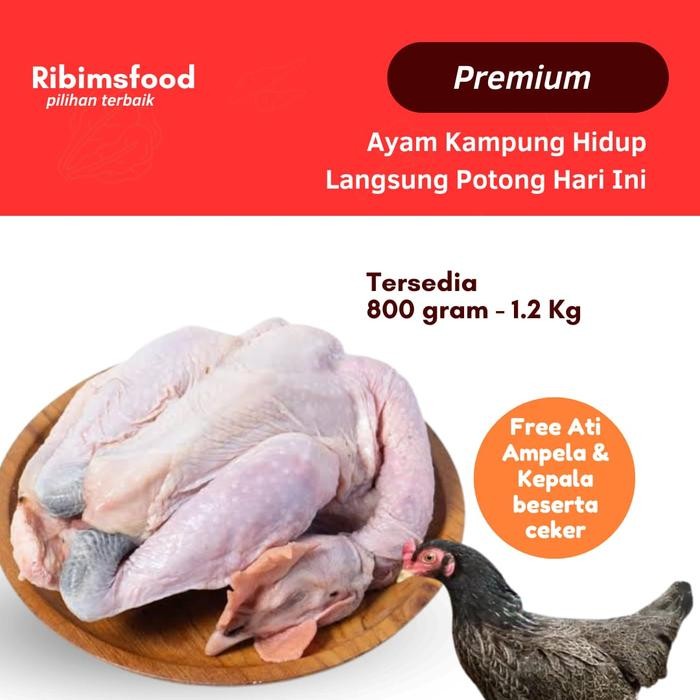 

Kirim,HariYgSama- Ayam kampung potong asli Aka / Sentul ukuran 800 - 1.2KG fresh hidup