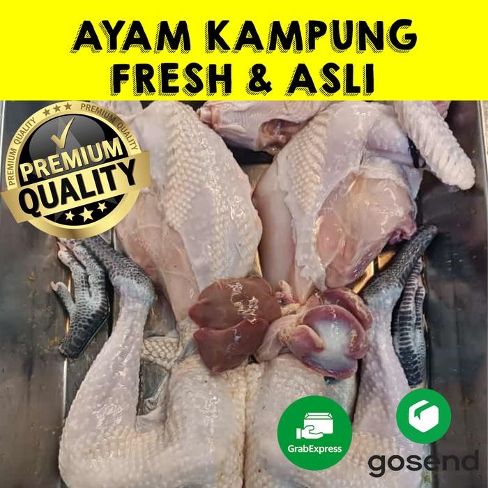 

Kirim,HariYgSama- ayam kampung fresh baru potong ASLI
