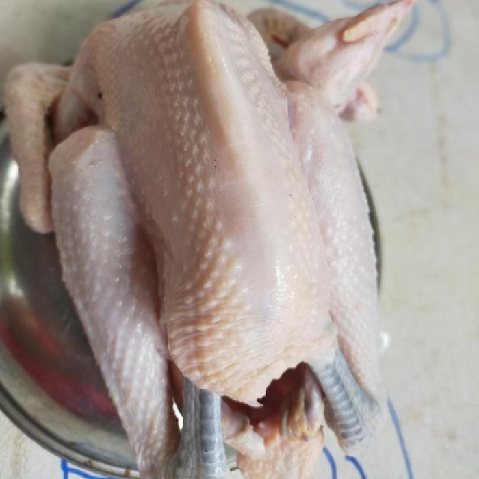 

Kirim,HariYgSama- ayam kampung ukur 900 sampai se kg