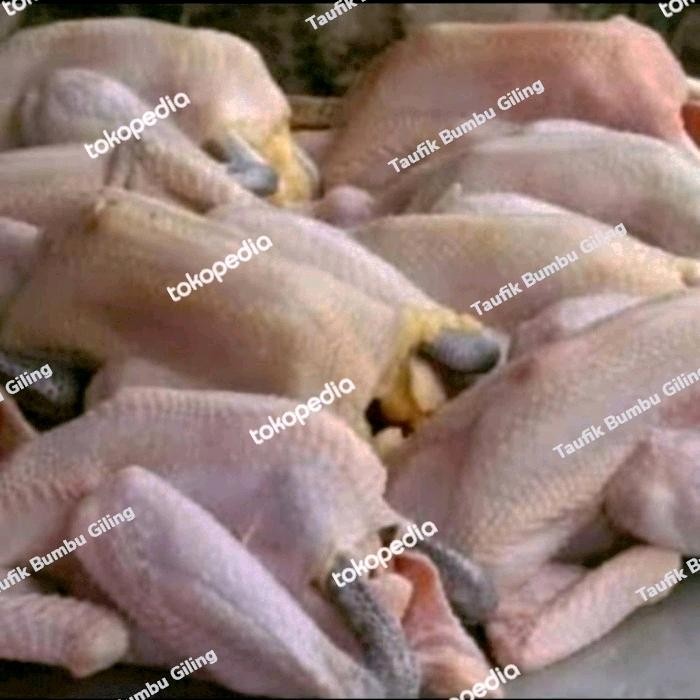 

Kirim,HariYgSama- ayam kampung segar 1 ekor ukuran besar