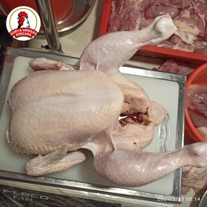 

Kirim,HariYgSama- AYAM KARKAS/PE-DAGING [ tanpa kaki& kepala] Ukuran 1.2-kg - 1.3-kg