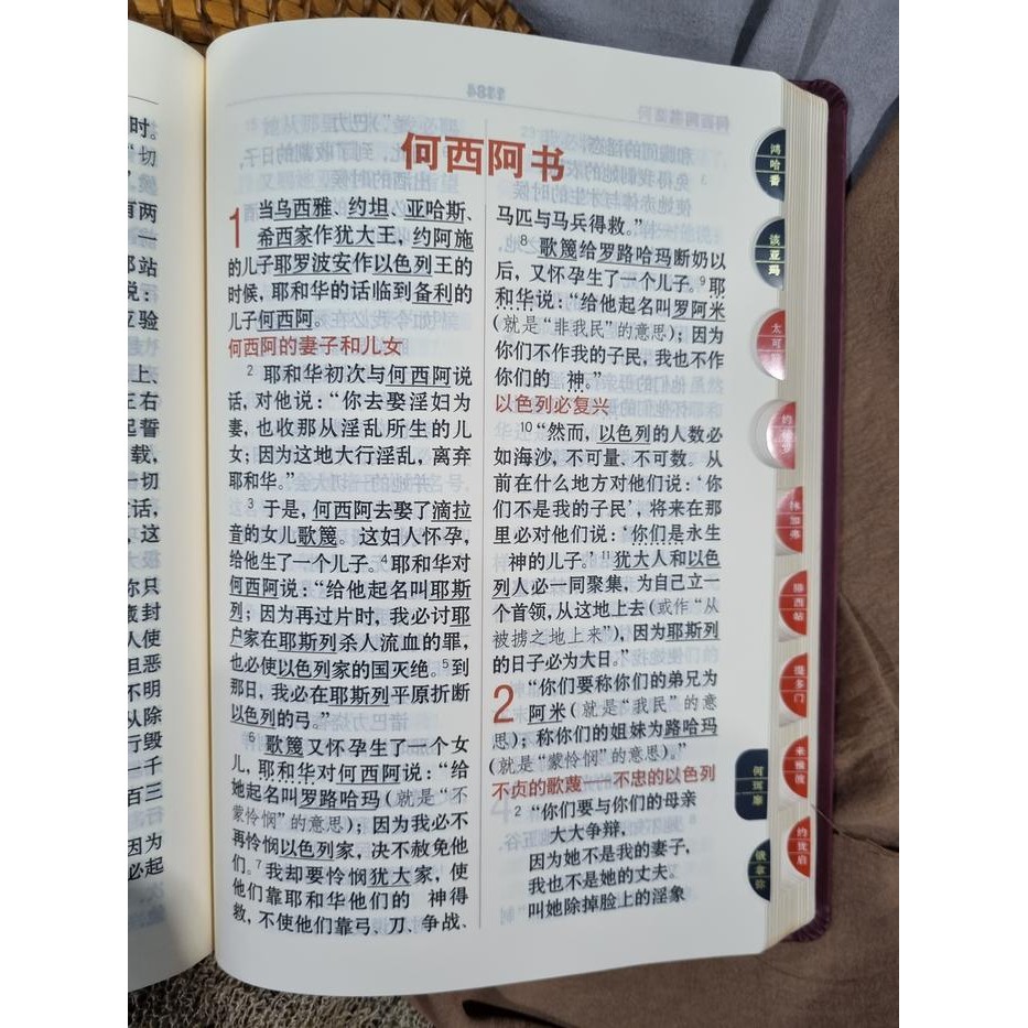 ready stok alkitab mandarin tulisan besar/chinese bible/ purple red cover original