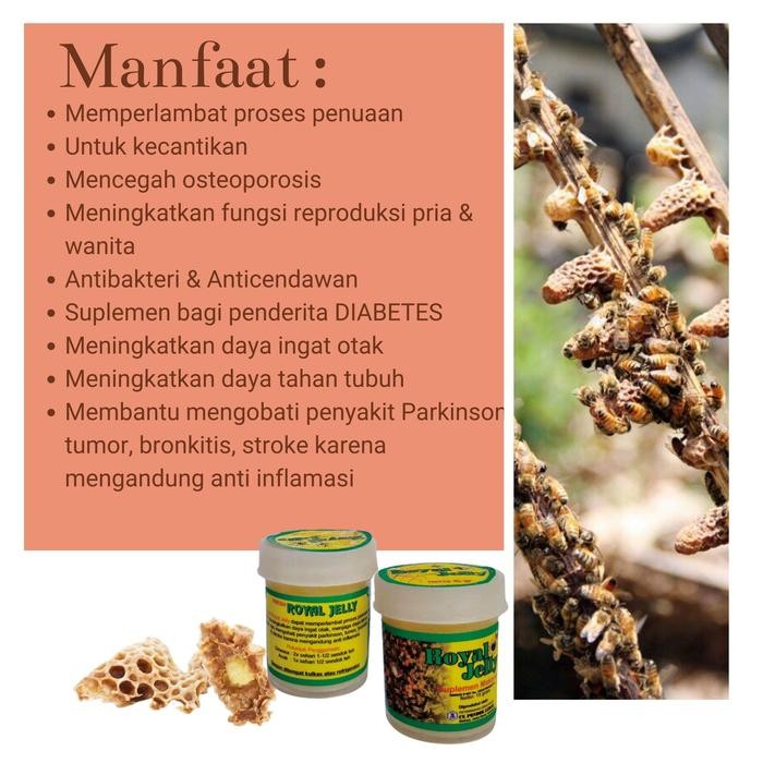 

Terlaris- Royal Jelly 15 Gr Pondok Lebah -Gratisongkir