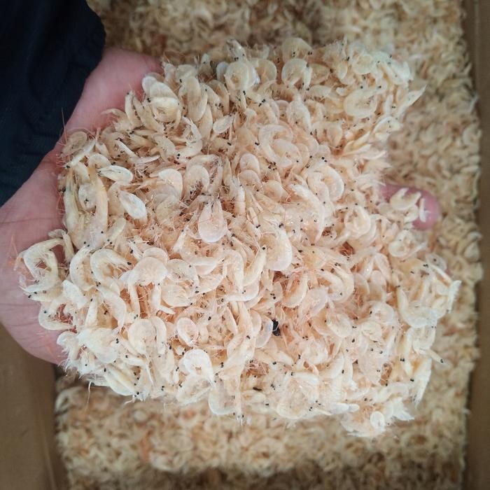 

NewZbgt- Udang Hepi/Rebon Asin Kasar 1 Kg Fresh