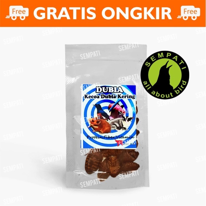 TERLENGKAP Kecoa Kering Dubia Pakan Makanan Hewan Reptil Ikan Predator Burung