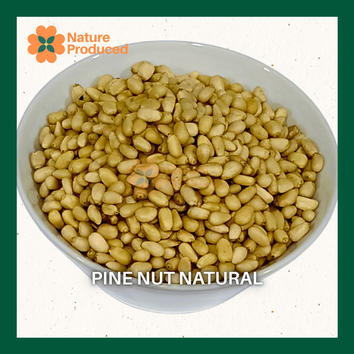 

Nature Produced Pine Nut 100gr 250gr 500gr 1kg Kacang Pinus