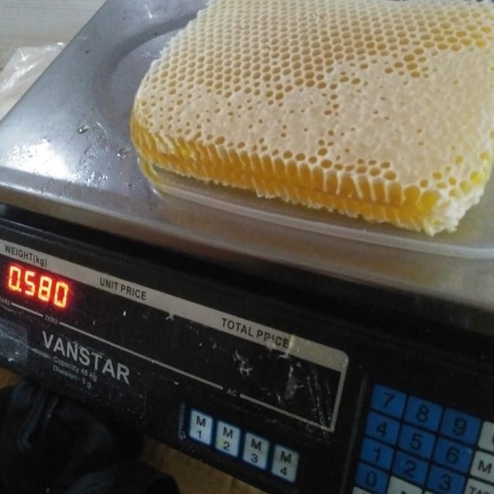 

Madu Sarang Melifera 500 Gram Honey Honey Bebas Kafein