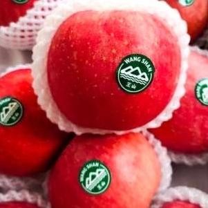 

New buah apel wangsa 1 kg pasti manis dan garing