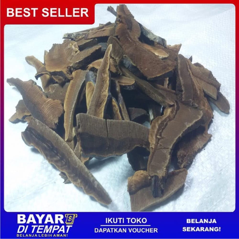 

Ts Murah jamur lingzhi ling zhi mushroom ganoderma iris 500gram [lingzhi liar]