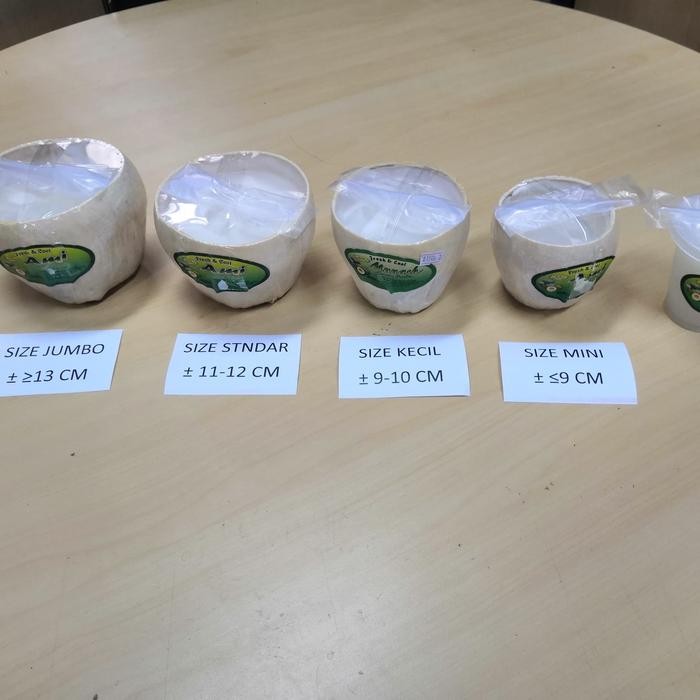 

InstanTanyadulu- Puding Kelapa Batok