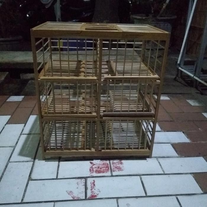 (grab/gosend only) dondang lepas jati terbaru