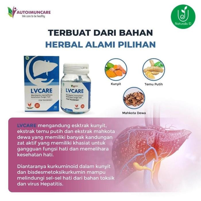 GRATIS ONGKIR Suplemen Herbal Sakit Kuning BPOM Liver - Herbal Kesehatan Hati Care Autoimun Care