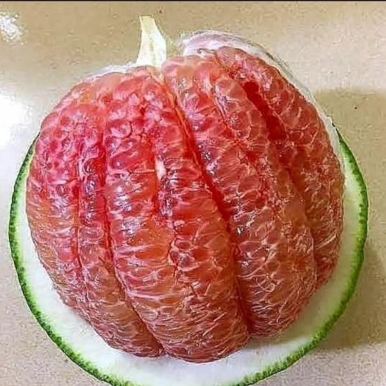 

InstanTanyadulu- jeruk pamelo madu 1buah