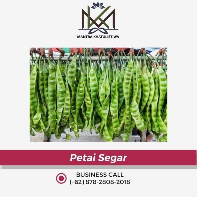 

Petai Segar /papan *