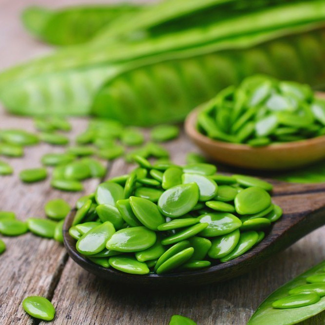 

Pete Cina - Mlanding - Petai Cina-Biji Petai Cina Kupas - Biji Lamtoro *