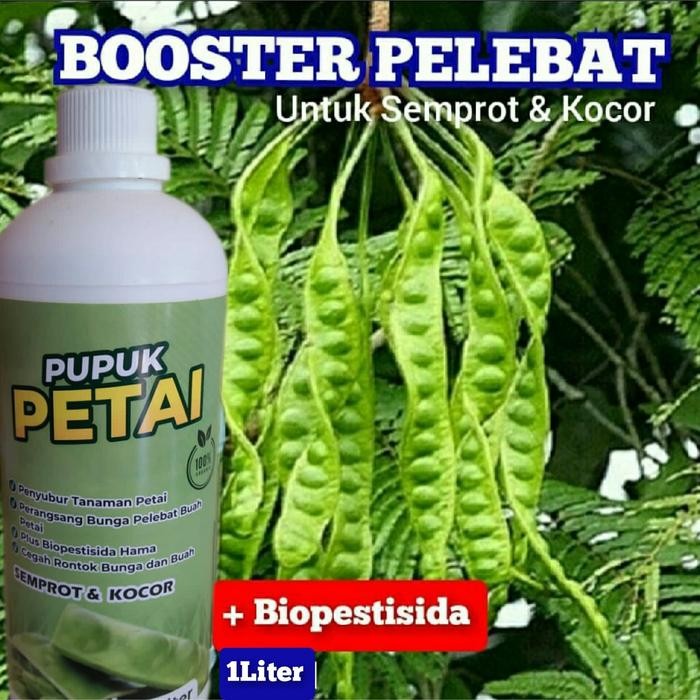 

Pupuk Organik Pelebat Petai Pete Perangsang Buah 1Liter Penyubur Tanaman Booster Pelebat Petai
