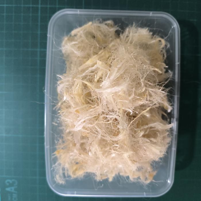 

Sale Terbatas Hisit Bihun/Serabut Kering 50Gram