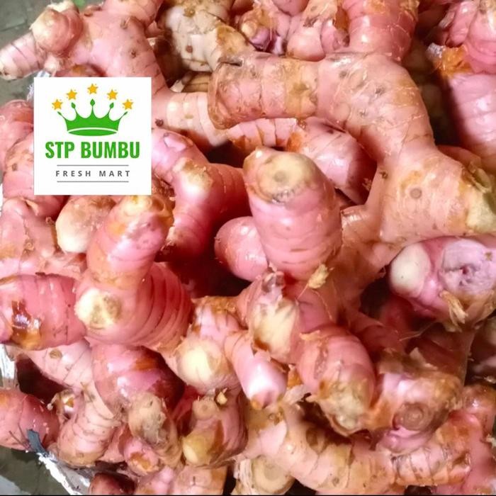 

TodayFre3sH- Lengkuas Muda Merah 1 kg / Laos Muda Merah 1 kg