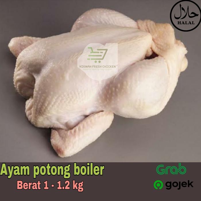 

TodayFre3sH- Ayam potong segar boiler /ayam karkas berat 1 - 1.2 kg